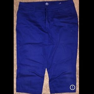 Purple/blue women’s Capri pants